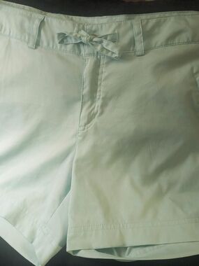 Magellan Outdoors Women's Mint Green Flat Front Shorts Size Large